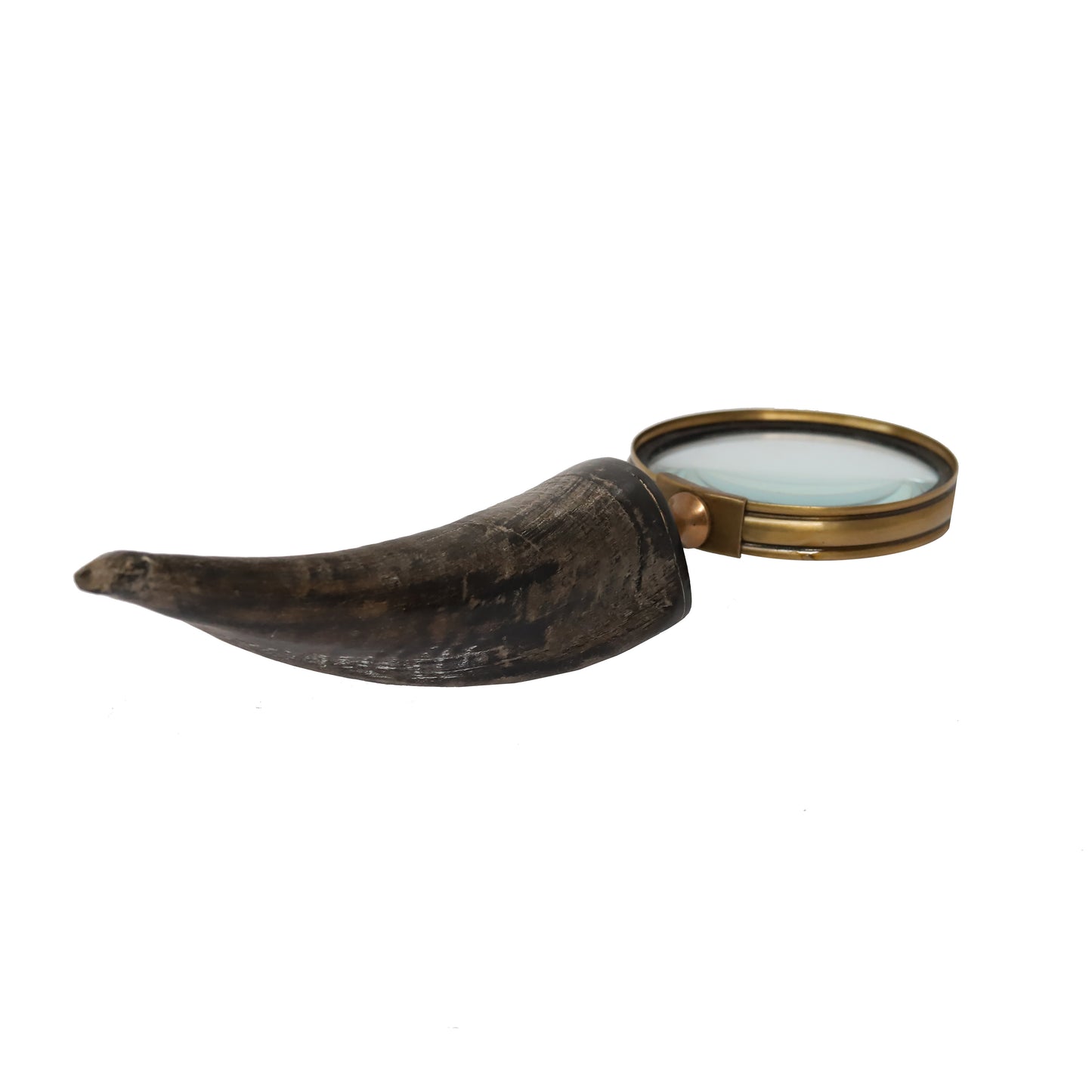 Horn Handle 75mm Magnifying Glass